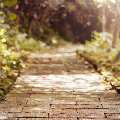 炸金花游戏app下载